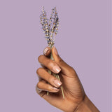 ~Pourri - ~Pourri Air Necessities Home + Bathroom Kit, Lavender 1.4oz*