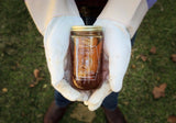 Pure Southern Honey - Honey With Comb 1 Lb (12 Jars) Raw, Unfiltered, Unheated