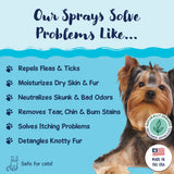 Arkwright Home - Bobbi Panter's Stinky Dog Solution Spray