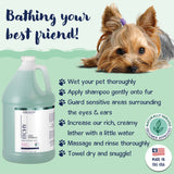 Arkwright Home - ITCHY Dog Shampoo for Soothing Skin Relief, Natural: 13oz