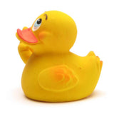 Duckshop - Rubber Duck Stinkefinger “Siggi” - rubber duck