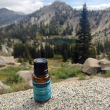 Candle Warmers Etc. - 15 ml Essential Oil Breathe in Blend