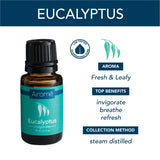 Eucalyptus Organic Essential Oil