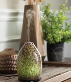 Oyster Shell Medium Diffuser